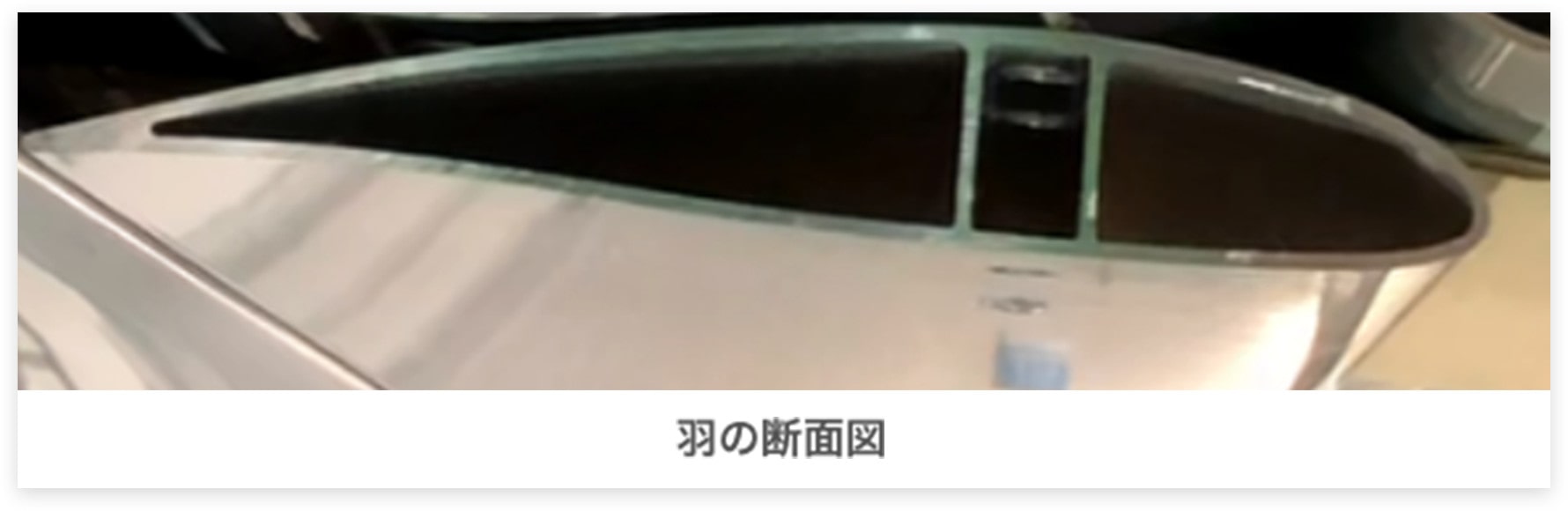 省エネの秘密は羽にあり